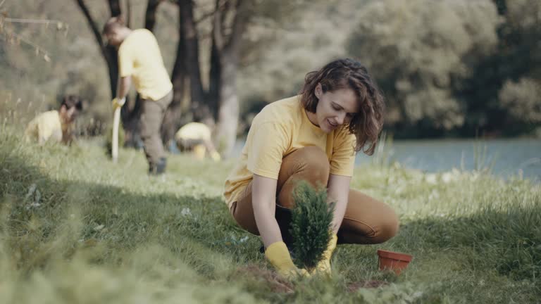 Best Lawn Grading and Leveling  in San Buenaventura, CA